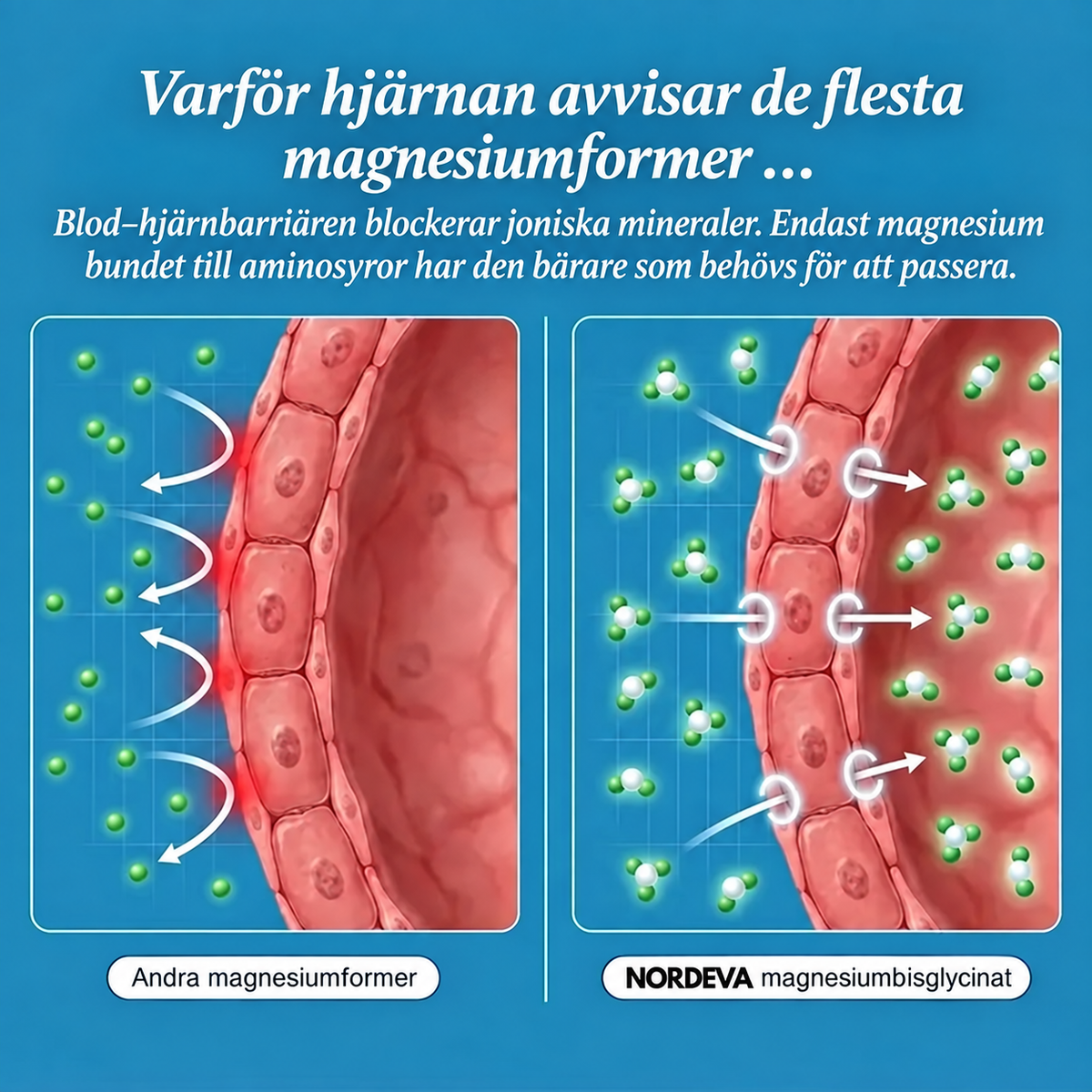 Nordeva magnesiumbisglycinat-gummies